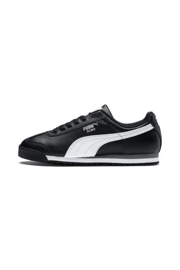 Rome Basic35357211 - 2272