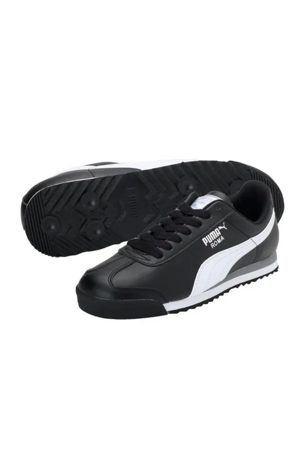 Rome Basic35357211 - 2272