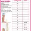 کفش اسپرت دخترانه کژوال Tesan Velcro - 1507