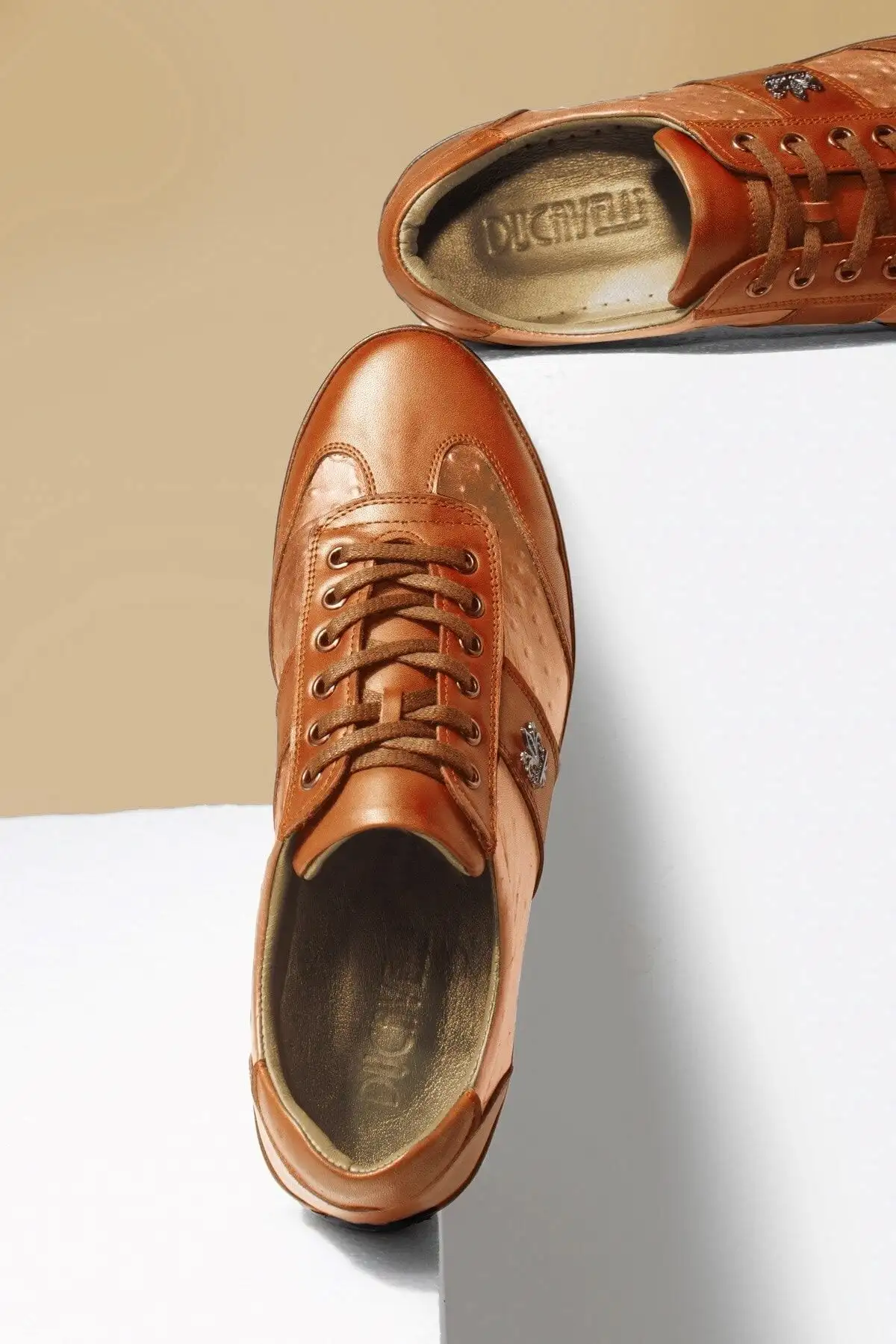 شترمرغ 2 کفش روزانه مردانه چرم ، کفش های گاه به گاه ، کفش 100 ٪ چرمی - 2865 شترمرغ 2 کفش روزانه مردانه چرم ، کفش های گاه به گاه ، کفش 100 ٪ چرمی - 2865