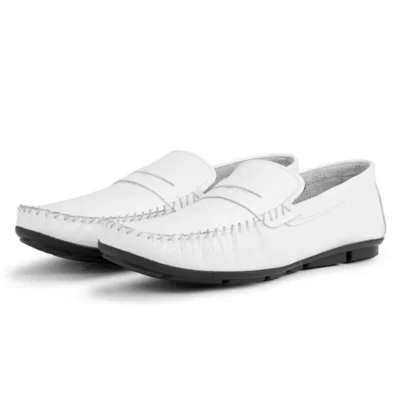 کفش های روزانه مردانه چرمی Artsy ، کفش Rog Loafer - 2561