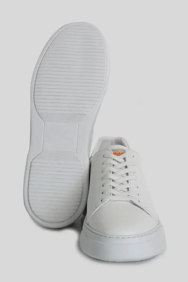 کفش کفش ورزشی چرمی Tommy Men White - 2570