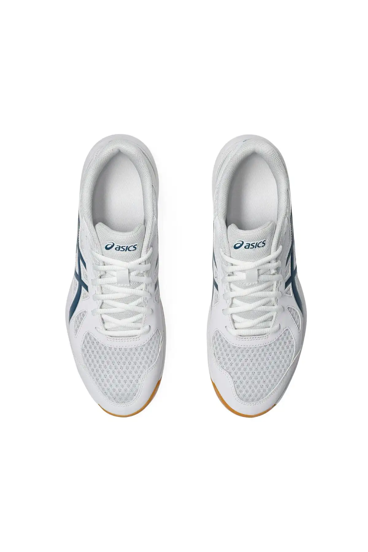 upcourt 6 کفش والیبال رنگی Unisex - 2824 upcourt 6 کفش والیبال رنگی Unisex - 2824