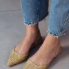 کفش تخت زنانه الویرا بیج آبی رنگ با پاشنه پشتی و نوک تیز - 4529