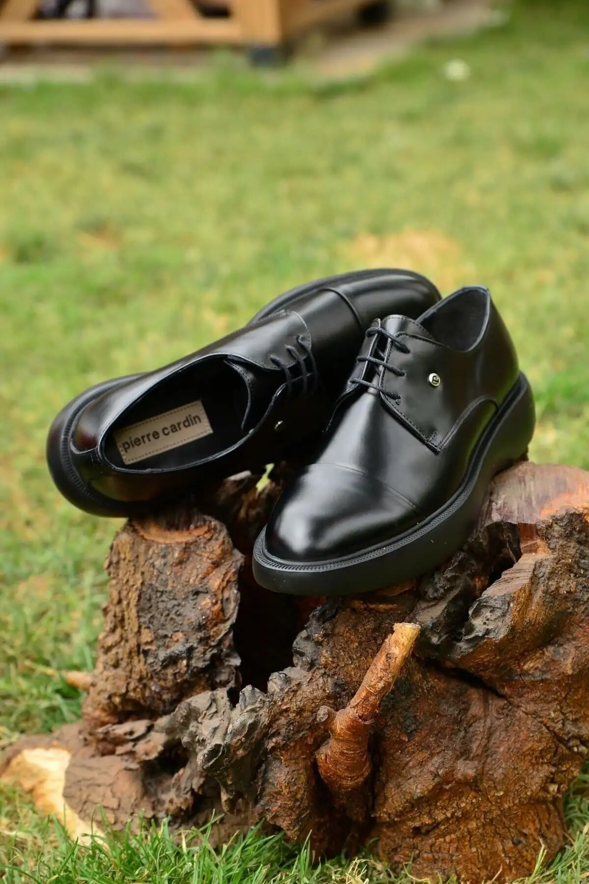 کفش رسمی مردانه محصول: کفش داماد و کت و شلوار از جنس چرم سیاه
توضیحات: با سبک نوآورانه خود، زیبایی و راحتی را به یکدیگر ارائه میدهد. - 3919 کفش رسمی مردانه محصول: کفش داماد و کت و شلوار از جنس چرم سیاه توضیحات: با سبک نوآورانه خود، زیبایی و راحتی را به یکدیگر ارائه میدهد. - 3919