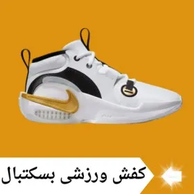 کفش بسکتبال