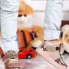 بوت بچگانه مینی بی‌بی - پاتیک - چراغ‌دار فیلته - 6657